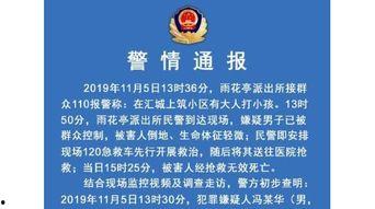 深圳张大哥最新爆料新闻,最新爆料新闻背后的真相