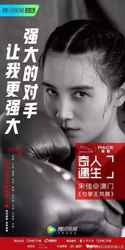 明星爆料文案伤感视频,明星伤感视频背后的心酸故事