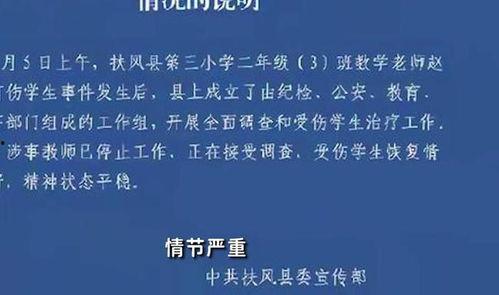 陕西学生爆料新闻事件真相,真相背后引人深思