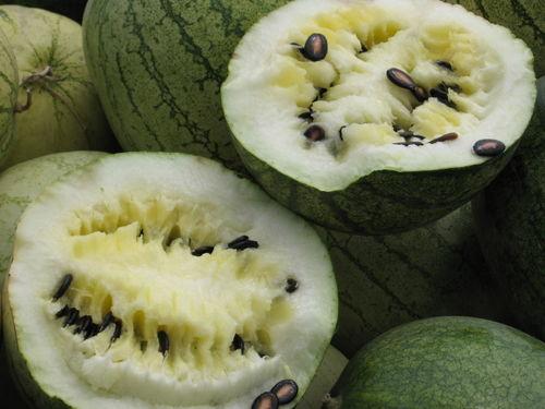 甘肃康县网红吃瓜事件