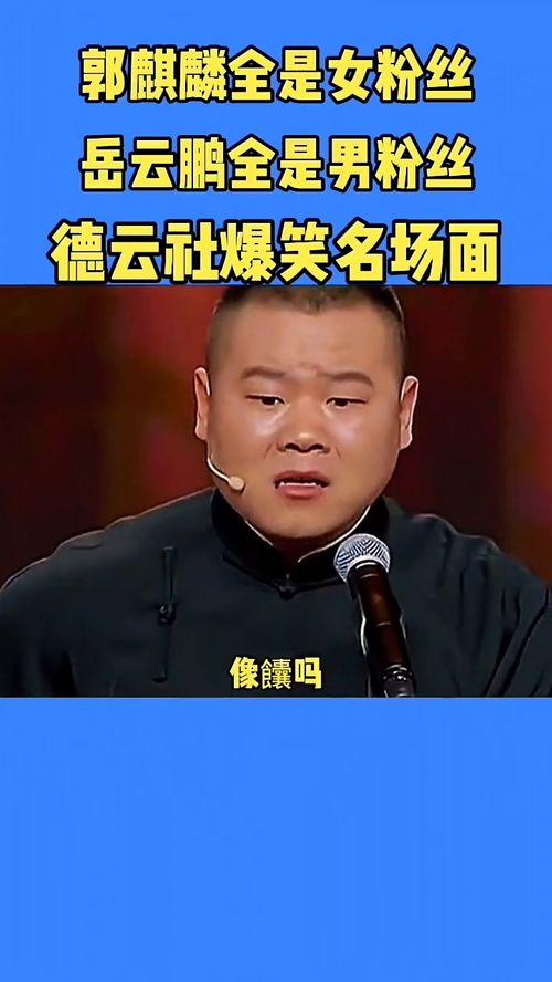 大林岳岳爆料视频大全,揭秘娱乐圈幕后真相