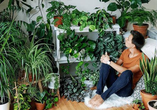 植物家女儿在线观看