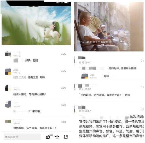 石建庄媒体爆料视频播放,揭秘事件背后真相