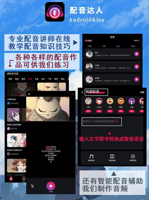 娱乐爆料配音号,揭秘幕后声音的魅力与故事