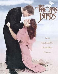 荆棘鸟韩剧在线观看,浪漫复仇与命运交织的虐恋之旅