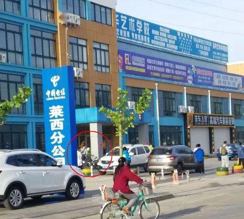 青岛某高中爆料视频最新,揭秘校园内幕，真相令人震惊！