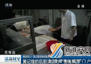 卧底爆料视频大全集,揭秘卧底爆料视频大全集背后的惊心动魄